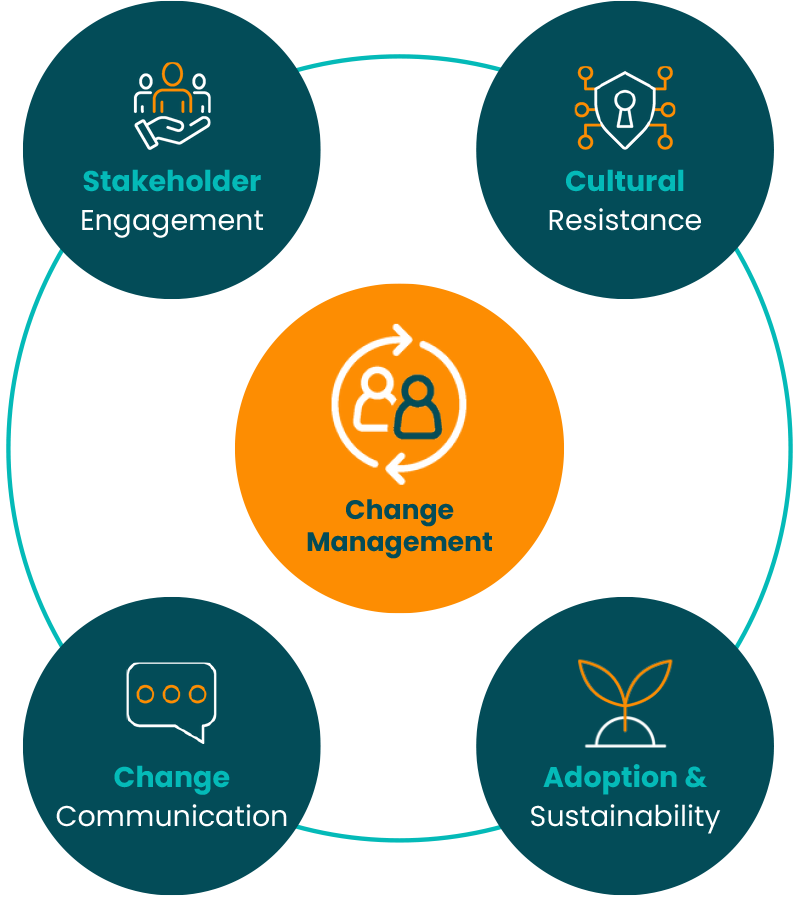 change_management_approach_diagram